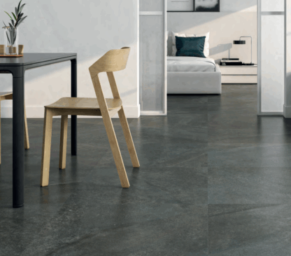 Serie Ess. Shins Grafito (Mate) (60x120)