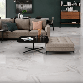 Serie Fenix Gris (Pulido) (60x120)