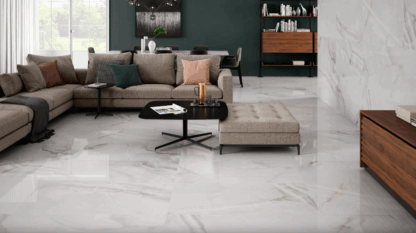 Serie Fenix Gris (Pulido) (60x120)