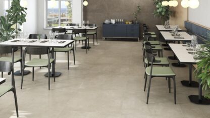 Serie Omnia Beige (Mate) (60x120)